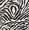 zebra-crystalsand