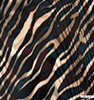 safari-schwarz